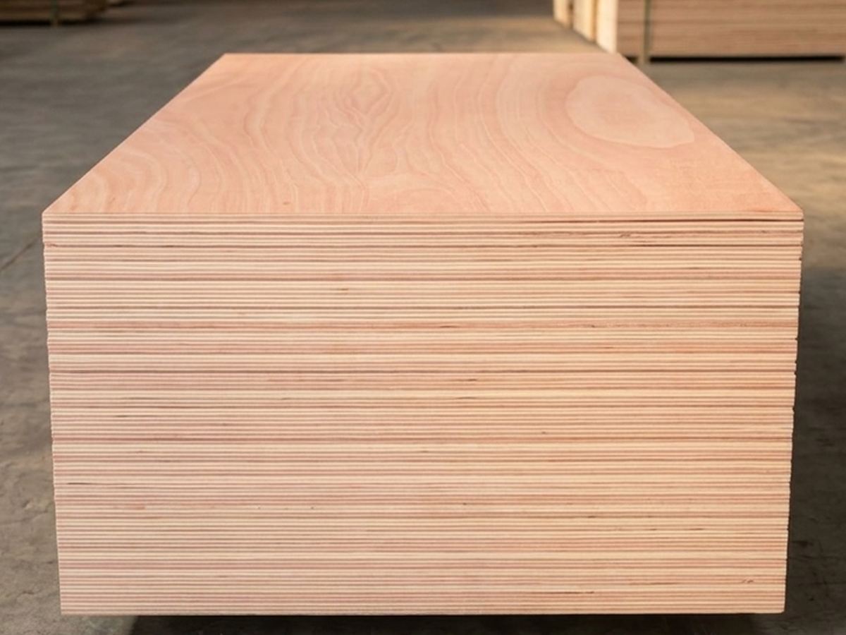 Plywood Okume